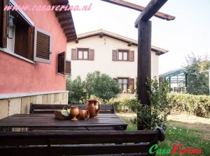 gelsomino(1)
